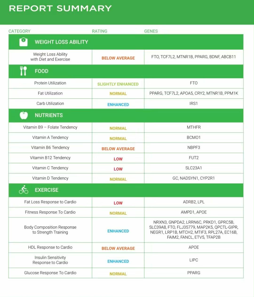 Report summary sample
